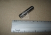 01-S2845 Metelli - Направляющая клапана IN/EX CHEVROLET AVEO 1,5 8V 11,03/6,02/47,5 ( ) (Фото 1)