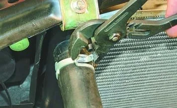 Фотография 3