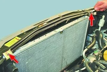 Фотография 5