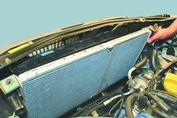 Фотография 7