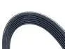 Ремень генератора и кондиционера Chery Amulet, Elara, Forza, Karry DAYCO A11-3701315BA (фото 1)