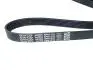 Ремень генератора и кондиционера Chery Amulet, Elara, Forza, Karry DAYCO A11-3701315BA (фото 3)