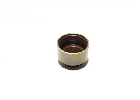 Сальник випускного клапана E010520005 Geely CK, GC6, MK Aftermarket 1106013098