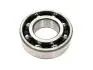 Подшипник КПП первичного вала передний Chery Amulet, Elara, Forza, Karry, Kimo Aftermarket QR513MHA-1701302 (фото 2)
