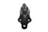 Шаровая опора подвески передней Chery Eastar CTR B11-2909060 (фото 5)
