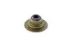 Сальник клапана Chery Amulet, Karry VICTOR REINZ 480-1007020 (фото 1)