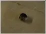 Гідрокомпенсатор клапана Geely FC, EC-7RV, EX-7 Aftermarket 1106013374-566 (фото 1)