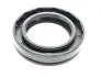 Сальник полуоси MКПП Chery Tiggo, Eastar, Forza Aftermarket QR523-1701203 (фото 1)