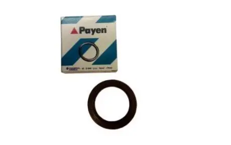 Сальник распредвала Chery Amulet, Karry Payen 480-1006020