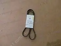 Ремінь ГУРу та кондиціонера Chery Tiggo ONNURI T11-3701315