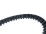 Ремень ГРМ Chery Amulet, Elara, Karry, Forza Aftermarket 480-1007081BA (фото 2)