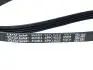 Ремень ГУРа и кондиционера Chery Kimo DAYCO S12-8104051BA (фото 3)