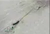 Шланг випарника кондиціонера Chery Amulet Aftermarket A15-8108050FC (фото 1)