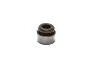 Сальник клапана 473H 477 481H A13 A15 A21 B11 M11 S21 T11 Aftermarket 481H-1007020 (фото 1)
