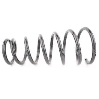 Пружина заднього амортизатора BYDS6 Aftermarket S6-2915500