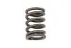 Пружина клапана Chery Amulet Aftermarket 480-1007013 (фото 1)