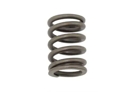 Пружина клапана Chery Amulet Aftermarket 480-1007013