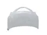 Капот Chery Jaggi Aftermarket S21-8402010-DY (фото 1)