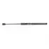 Амортизатор кришки багажника (хетчбек) ЗАЗ Chery Forza Aftermarket J15-5605110 (фото 1)