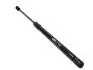 Амортизатор кришки багажника (хетчбек) ЗАЗ Chery Forza Aftermarket J15-5605110 (фото 4)