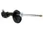 Амортизатор передний левый Chery Eastar Fitshi B11-2905010 (фото 1)