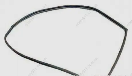 Ущільнювач отвору дверей задньої правий. Chery Tiggo Aftermarket T11-5402440