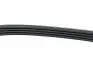 Ремінь ГУРу Great Wall Haval H3, Hover 4G63, 4G64 Aftermarket 3412011-K00 (фото 1)