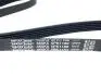Ремень кондиционера 5PK1180 BYDS6 DAYCO BYDM6-8103112 (фото 3)