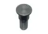 Штифт КПП Chery Tiggo, Eastar Aftermarket QR523-1702454 (фото 1)