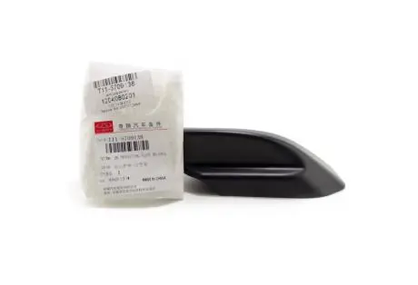 Кришка реленгу ззаду права T11 CHERY T11-5709138