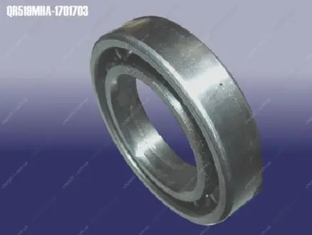 Подшипник дифференциала (ЦС) CHERY 519MHA-1701703