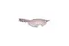 Накладка арки задней L нижняя Amulet CHERY A15-5402090bd (фото 2)