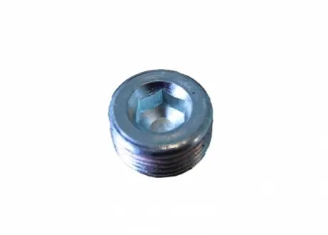 Заглушка масляного каналу CHERY 480-1002031