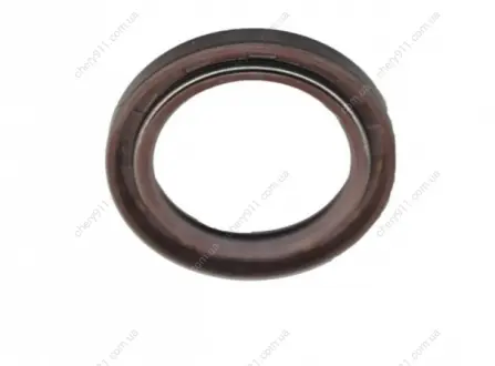 Сальник первинного валу Chery Tiggo Aftermarket QR523-1701413