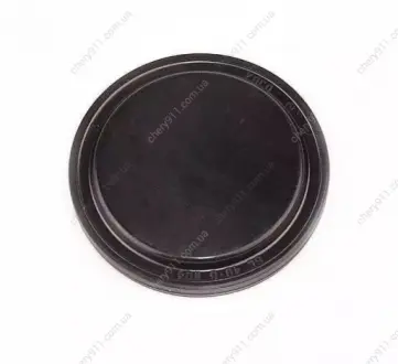 Заглушка фланца КПП, внутреннего ШРУСа FEBI BILSTEIN 015409289AA