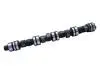 Распредвал Chery Amulet, Karry AE 480EE-BJ1006015 (фото 2)