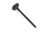 Клапан випускний Great Wall Haval M4 Aftermarket 1007012-EG01 (фото 1)