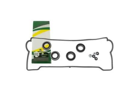 Прокладка клапанной крышки с сальниками Geely GC5 BGA E010001501