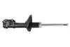 Амортизатор передний газ Chery Amulet, Forza, Karry Fitshi A11-2905010BA (фото 1)