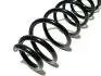 Задня пружина BYD F3 Aftermarket 10129907-00 (фото 1)