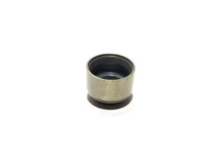 Сальник клапана LIFAN 320 KLM KLM AutoParts LF479Q1-1007018A/17A