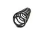 Пружина задняяя Chery Amulet KLM KLM AutoParts A11-2912011 (фото 1)