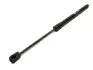Амортизатор крышки багажника (хэтчбек) ЗАЗ Chery Forza KLM KLM AutoParts J15-5605110 (фото 2)