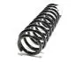Пружина передняя Chery QQ KLM KLM AutoParts S11-2902011 (фото 1)
