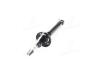 Амортизатор задній Chery Amulet ASHIKA A11-2915010BA (фото 2)