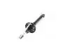 Амортизатор задній Chery Amulet ASHIKA A11-2915010BA (фото 2)