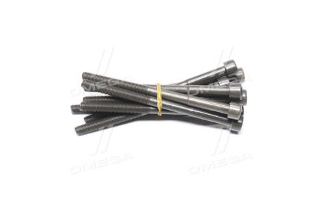 Болт ГБЦ BYD S6 (компл. 10 шт) CORTECO 10438173-00