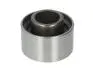 Ролик ГРМ обводной (2.0L) BYD SKF 10134395-00 (фото 5)