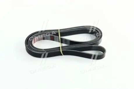 Ремень генератора 2.0L Diesel (4D20D) Great Wall Wingle 7 Dongil 3701011AED01A