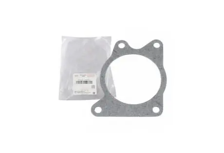 Прокладка водяного насоса Tiggo 2 CHERY D4G15B-1307041